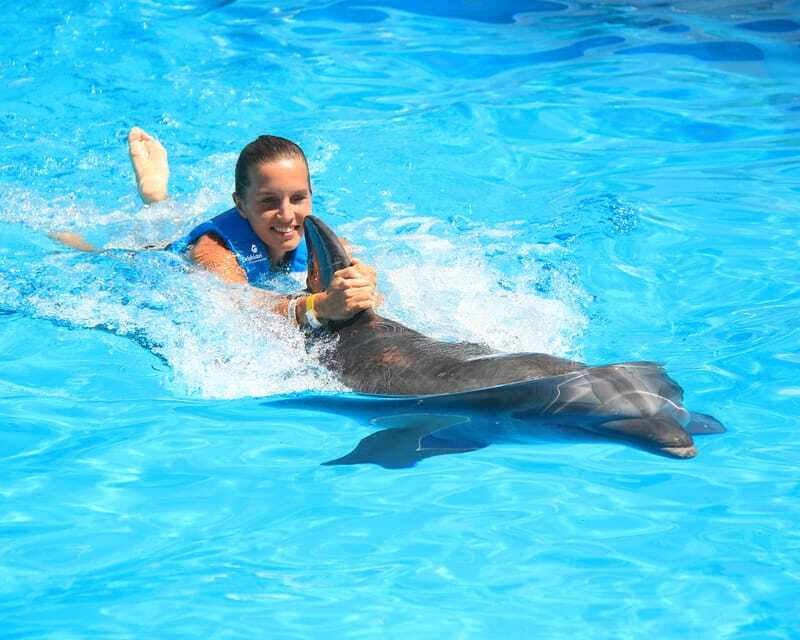 Cancun: Interactive Aquarium Ticket and Swim with Dolphins - Who will enjoy this most?