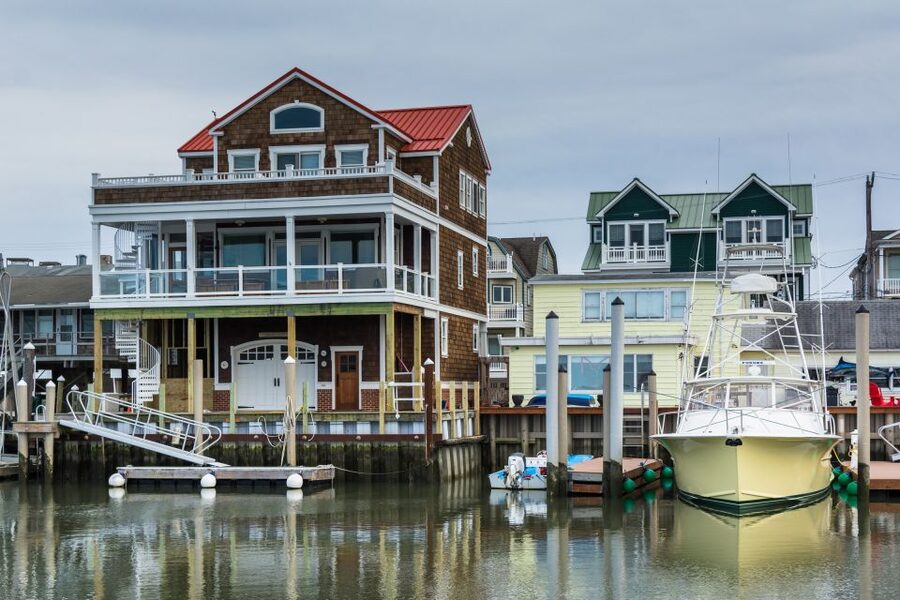Cape May: 2-Hour Dolphin Watching Cruise - What the guide and crew add