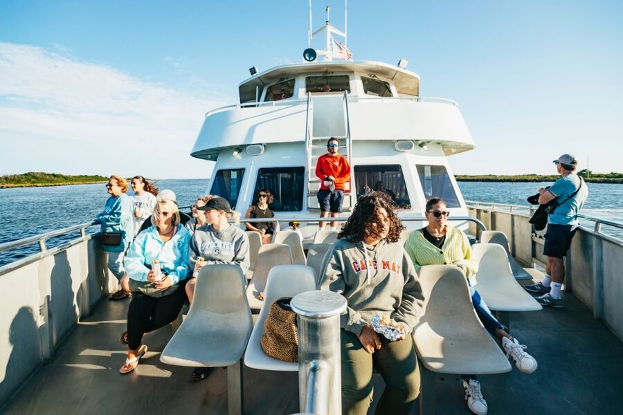 Cape May: Cape May Island Sunset Cruise & Dolphin Watching - Key points to know before you go