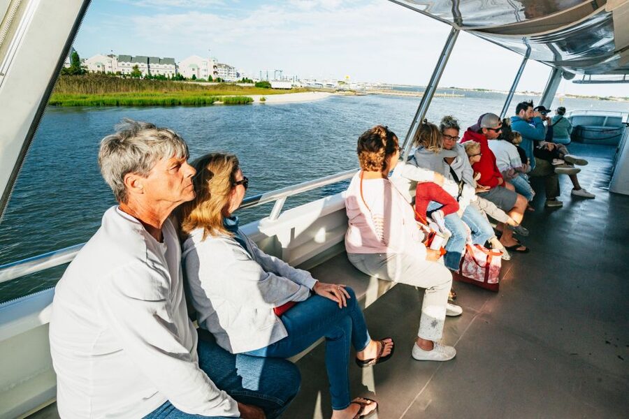Cape May: Cape May Island Sunset Cruise & Dolphin Watching - Who will enjoy this cruise most?