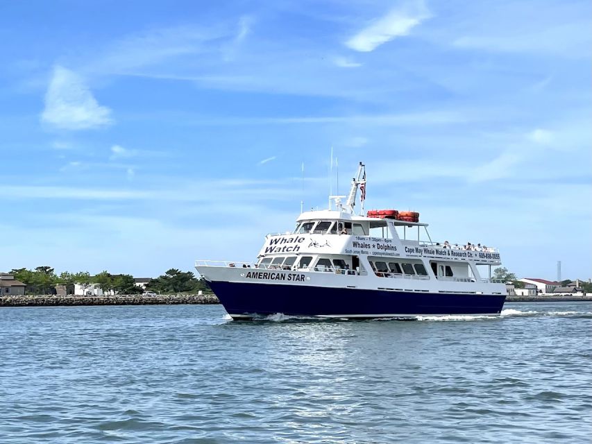 Cape May: Dolphin and Bird Watching Cruise - What to expect from the bird-watching portion