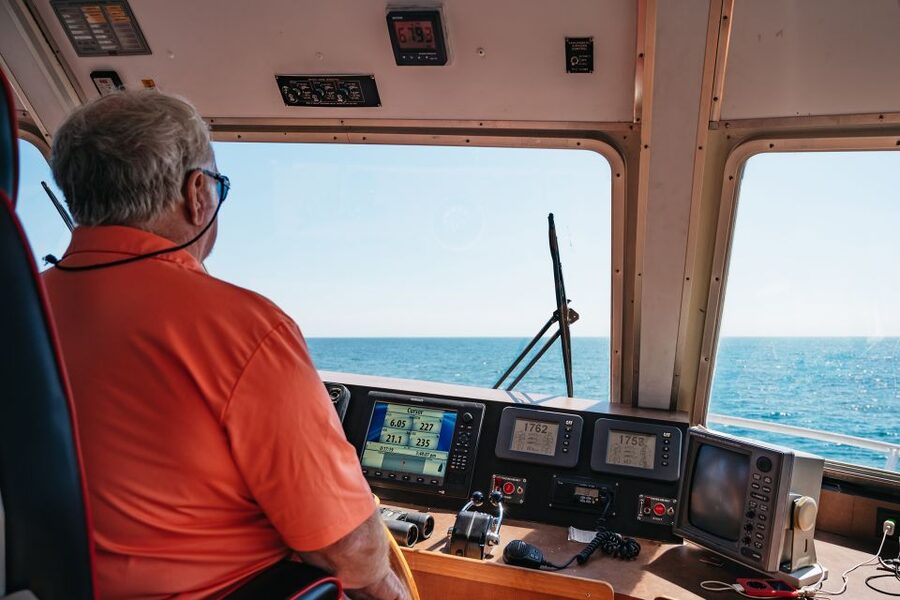 Cape May: Jersey Shore Whale and Dolphin Watching Cruise - Key points to know before you sail