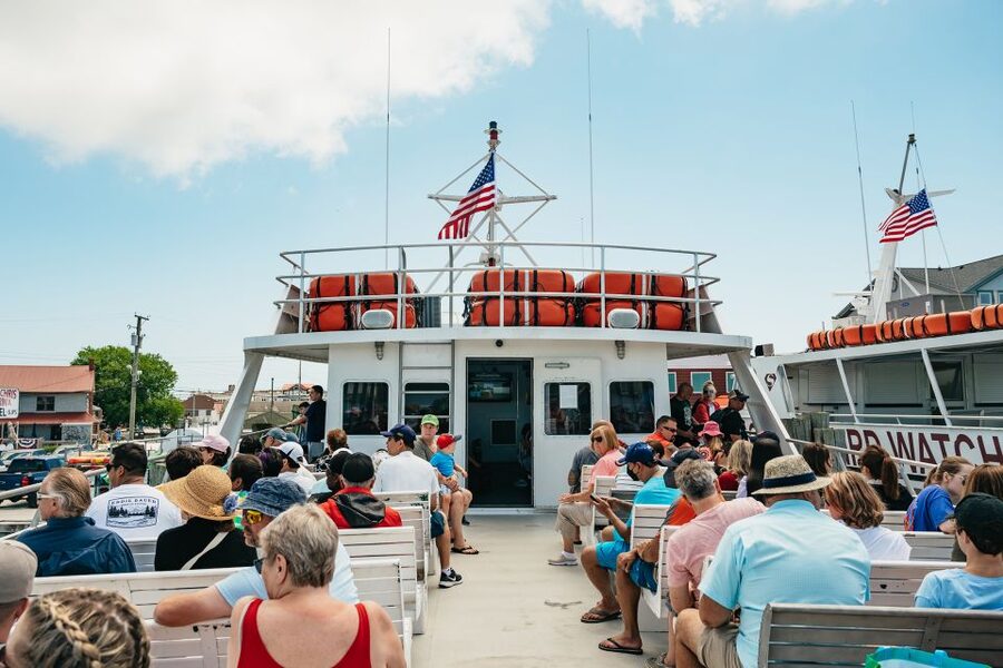 Cape May: Jersey Shore Whale and Dolphin Watching Cruise - Captain Jeff and the live narration