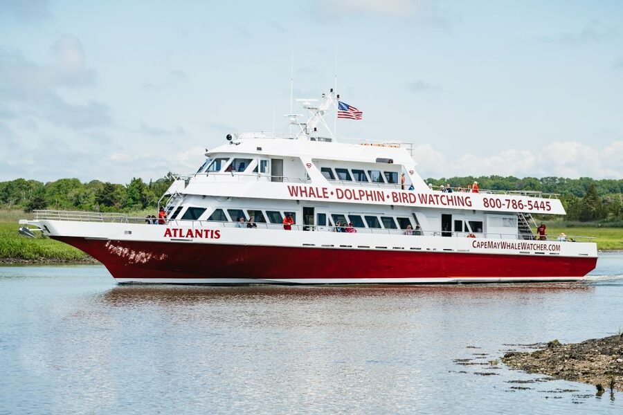 Cape May: Jersey Shore Whale and Dolphin Watching Cruise - Finding a comfortable place aboard the 110-foot ship