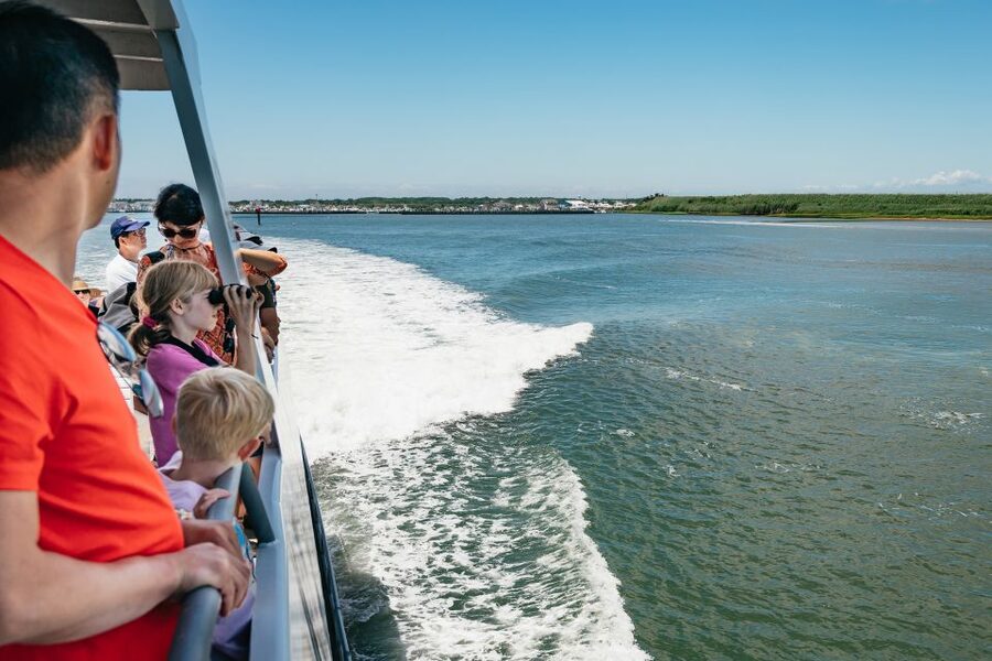 Cape May: Jersey Shore Whale and Dolphin Watching Cruise - Who will enjoy this Cape May cruise most?