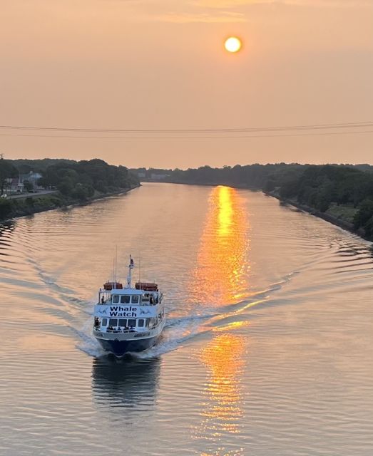 Cape May: Sunset Dolphin Watching Cruise with Food - Leaving the harbor and watching the coast
