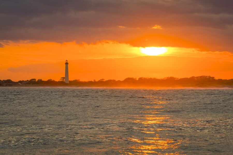 Cape May: Weekend Whale and Dolphin Watching Cruise - Dolphins, waves, and the real focus of the cruise