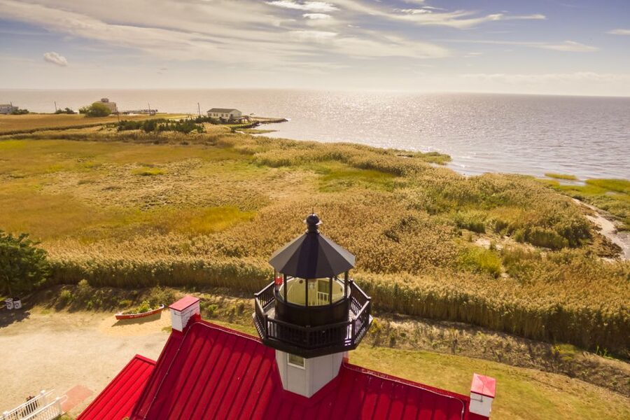 Cape May: Weekend Whale and Dolphin Watching Cruise - Why the $36 price is reasonable