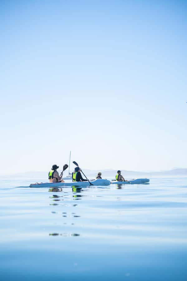 Cape Town: Dolphin & Ocean Wildlife Kayaking Adventure ⚓️ - Practical tips for a smoother morning