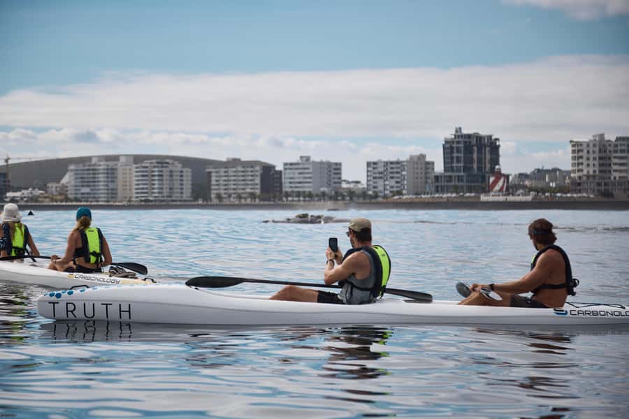 Cape Town: Dolphin & Ocean Wildlife Kayaking Adventure ⚓️ - Searching for dolphins, seals and penguins