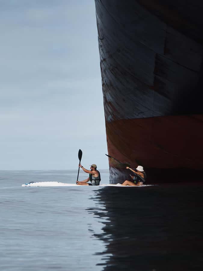 Cape Town: Dolphin & Ocean Wildlife Kayaking Adventure ⚓️ - Returning to the garden for coffee or matcha