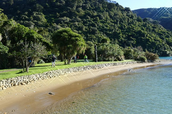 Captain Cook and Dolphin Cruise - Motuara Island and the bird sanctuary stop