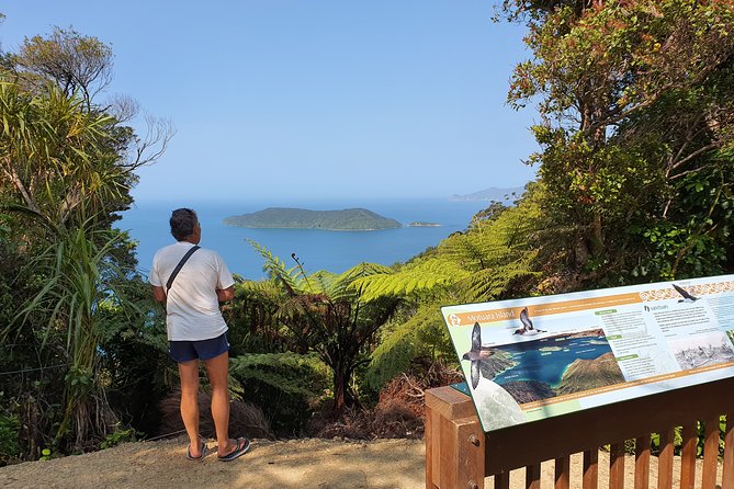 Captain Cook and Dolphin Cruise - Guides who make the difference
