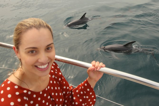 Captain Cook and Dolphin Cruise - Boat comfort, group size, and weather