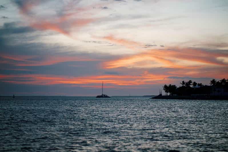 Captain's Choice: Dolphin Watch Sunset Sail - Looking for dolphins in open water