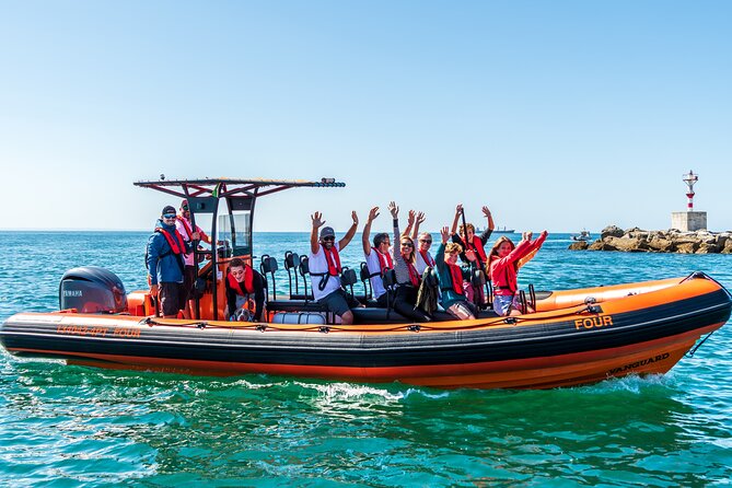Cascais coast: Dolphin watching - Gear, safety, and comfort on the water