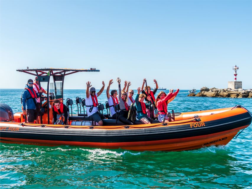 Cascais: Dolphin Watching Tour - Views of Cascais and the Estoril Coast