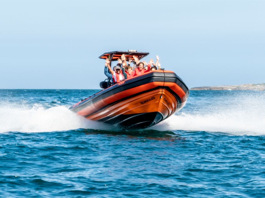 Cascais: Dolphin Watching Tour - Two hours on the Cascais coast