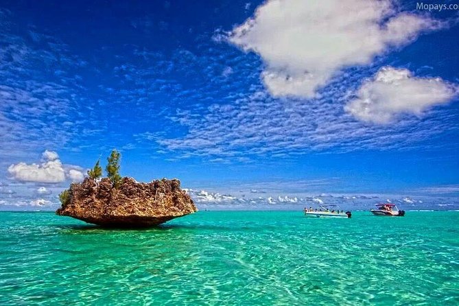 Catamaran Cruise to Ile Aux Bénitiers: Dolphin watch, Crystal Rock & Transfer - Transfers, timing, and what to pack