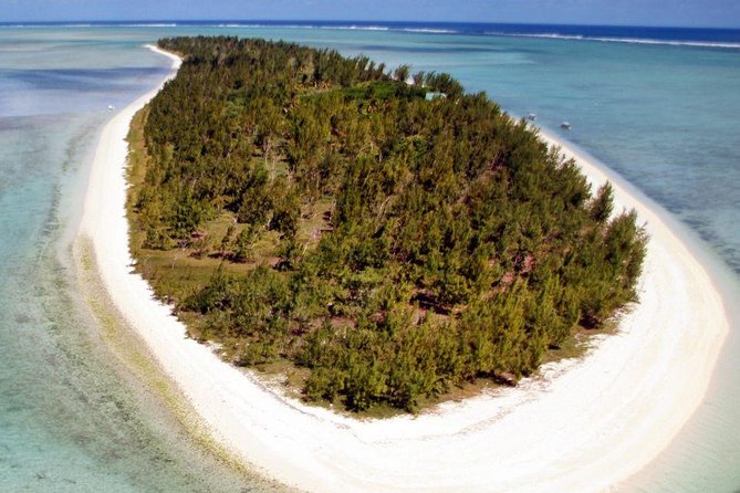 Catamaran Cruise to Ile Aux Bénitiers: Dolphin watch, Crystal Rock & Transfer - Who will enjoy this cruise most