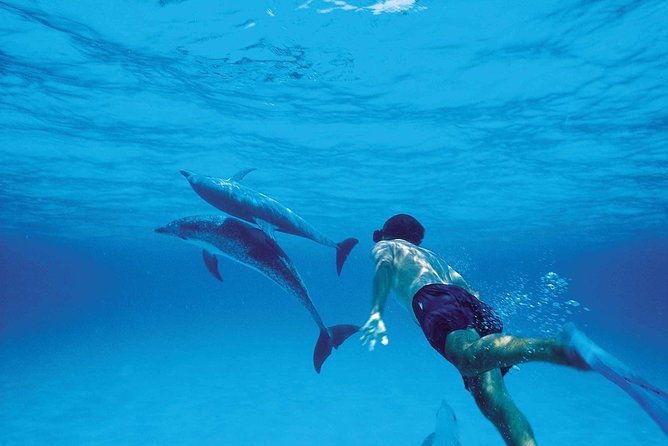 Catamaran Cruise to Ile Aux Bénitiers: Dolphin watch, Crystal Rock & Transfer - Tamarin Bay and the search for dolphins