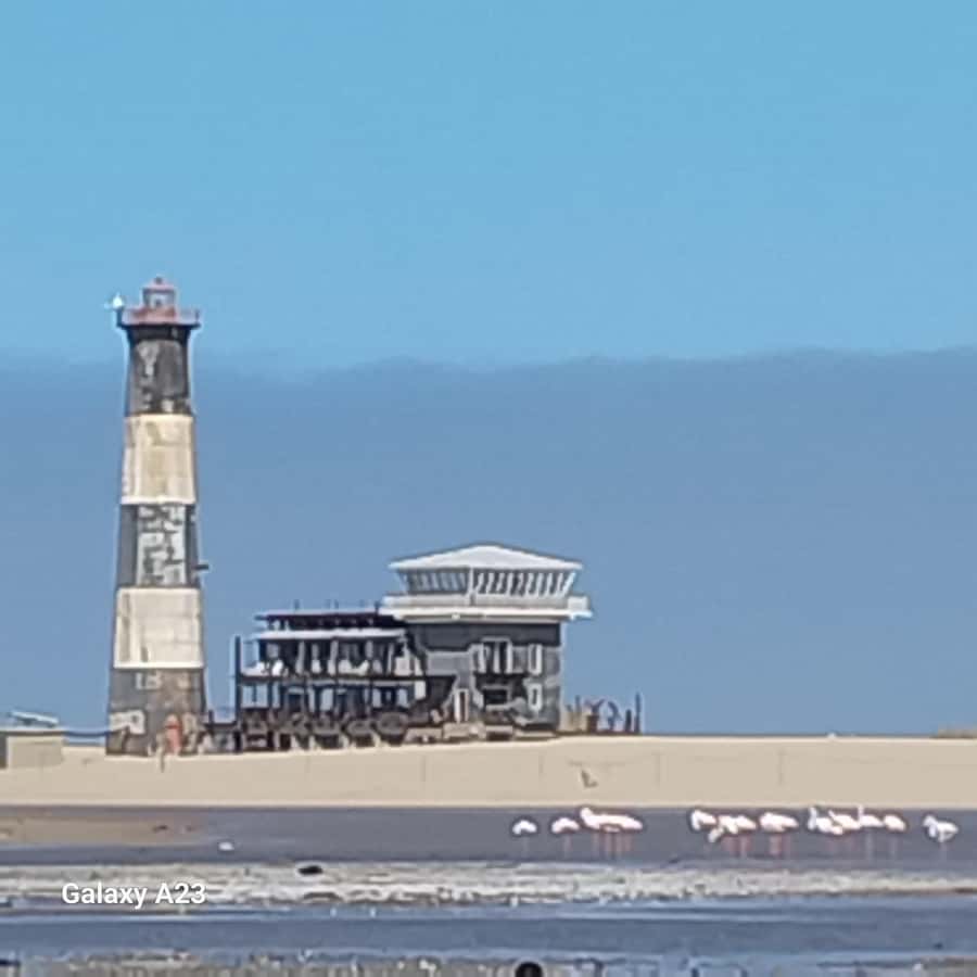Catamaran Dolphin Cruise and Sandwich Harbour Tour - Three hours aboard the catamaran at Pelican Point