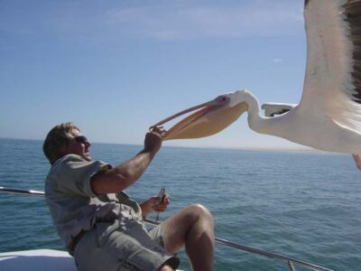 Catamaran Dolphin Cruise and Sandwich Harbour Tour