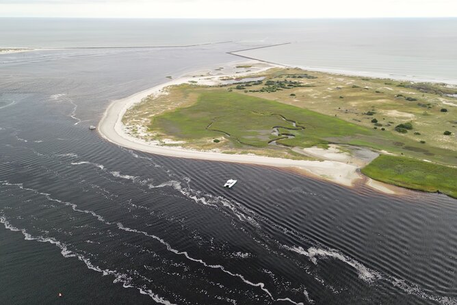 Catamaran Dolphin Cruise in Myrtle Beach with Barrier Island Stop - How good is the $39.96 value?