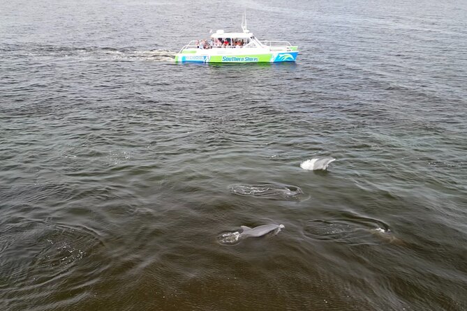 Catamaran Dolphin Cruise in Myrtle Beach with Barrier Island Stop - Comfort, clothing, and the walk to the boat