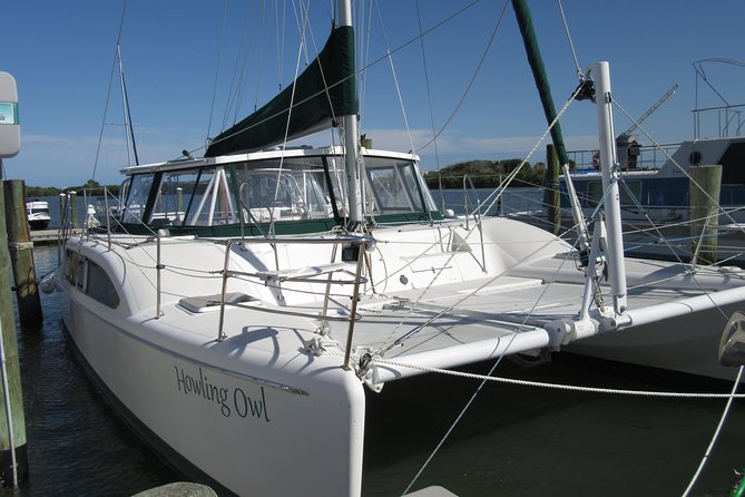 Catamaran Sailing Dolphin/Manatee Watch in Daytona Beach - Captain Randy’s relaxed style