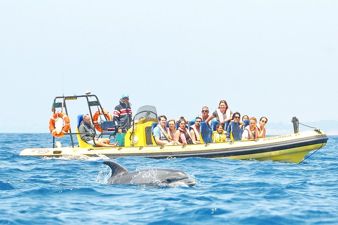 Caves and Dolphin Watching Cruise from Albufeira - Leaving Albufeira Marina and finding your boat