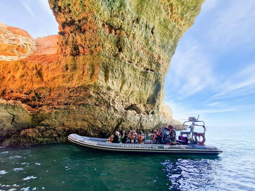 Caves & Dolphins - Combined Trip - Searching for dolphins in their natural habitat