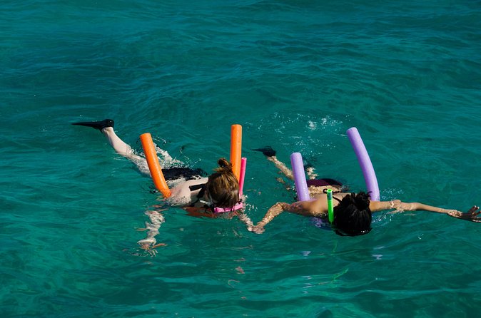 Champagne Dolphin Sail and Reef Snorkel - Equipment and instruction for first-time snorkelers
