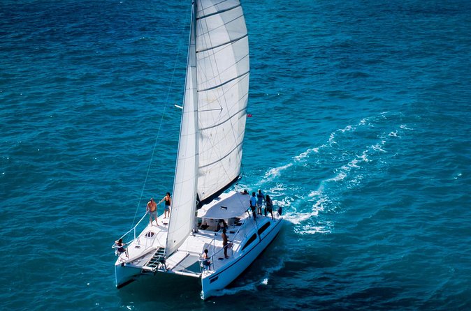 Champagne Dolphin Sail and Reef Snorkel - What the $108.91 price really covers