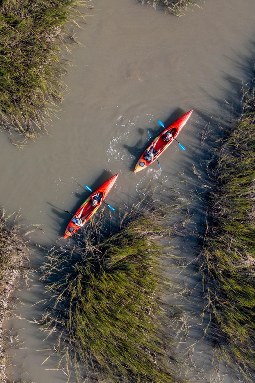 Charleston: Folly Beach Afternoon Kayak Dolphin Safari - Key points to know before you paddle
