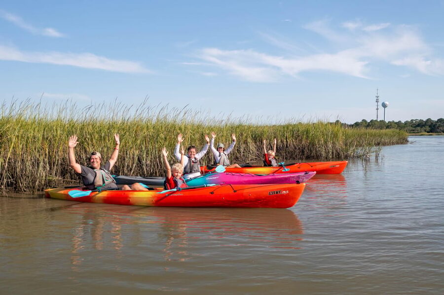 Charleston: Folly Beach Afternoon Kayak Dolphin Safari - Watching for dolphins in their natural setting