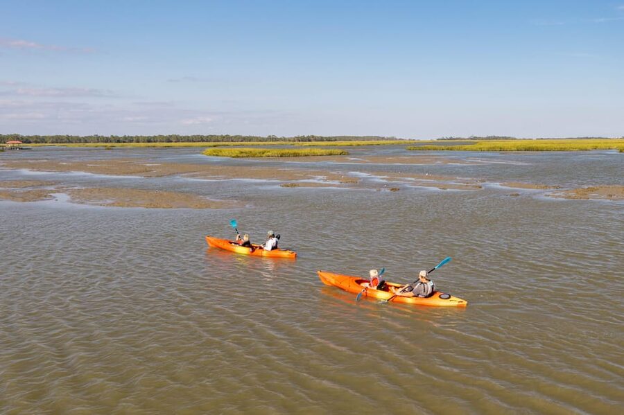 Charleston: Folly Beach Afternoon Kayak Dolphin Safari - Choosing morning, afternoon, or sunset