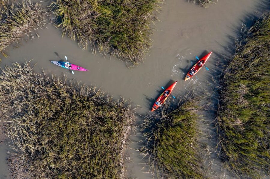 Charleston: Folly Beach Afternoon Kayak Dolphin Safari - What the $55 price includes