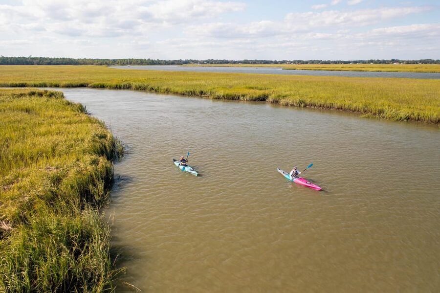 Charleston: Folly Beach Afternoon Kayak Dolphin Safari - Who will enjoy this outing most