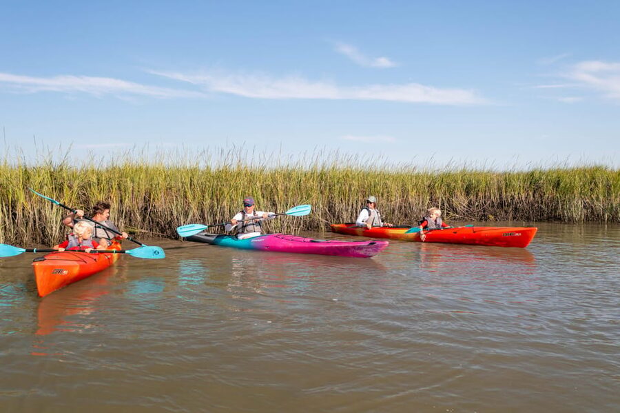 Charleston: Folly Beach Morning Kayak Dolphin Safari - Who will enjoy this Folly Beach paddle