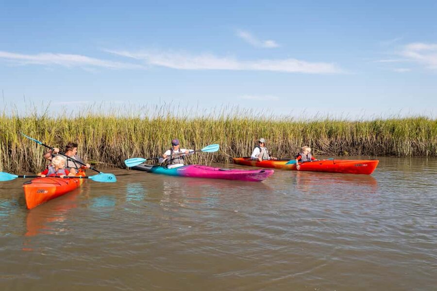 Charleston: Folly Beach Morning Kayak Dolphin Safari - Looking for dolphins from a low seat