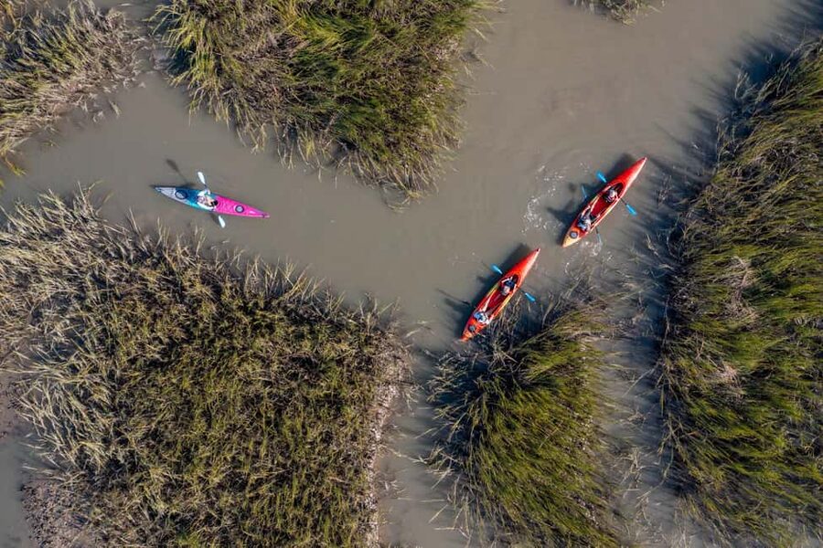 Charleston: Folly Beach Morning Kayak Dolphin Safari - Following the Folly River for two hours