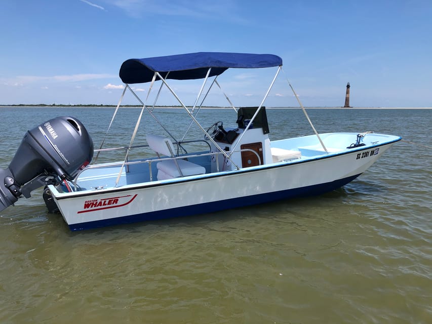 Charleston: Morris Island Dolphin Cruise with Beachcombing - Key Points at a Glance