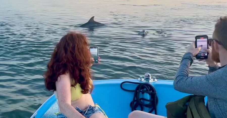 Charleston: Morris Island Dolphin Cruise with Beachcombing - Why This Morris Island Trip Works So Well