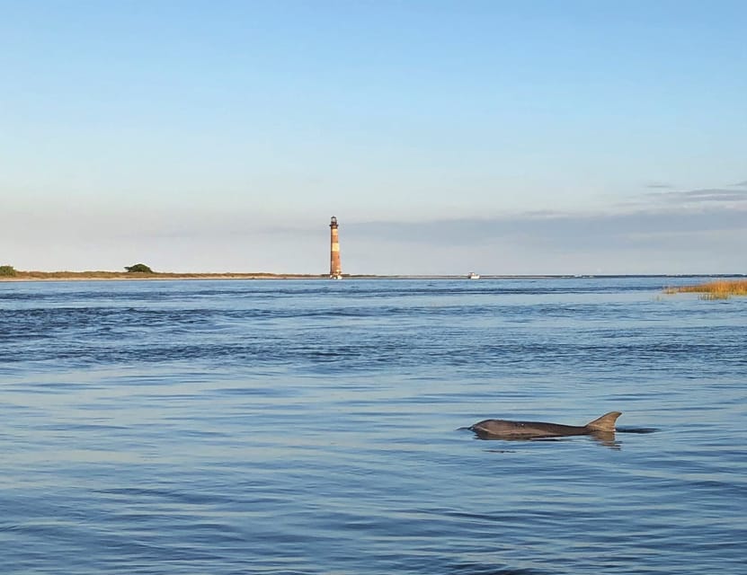 Charleston: Morris Island Dolphin Cruise with Beachcombing - A Private Ride You Can Shape