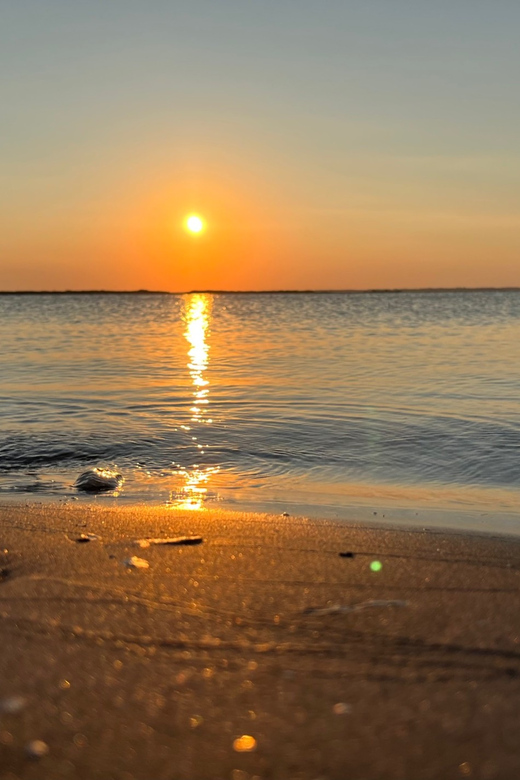 Charleston: Morris Island Dolphin Cruise with Beachcombing - Is $105 Per Person a Fair Price?