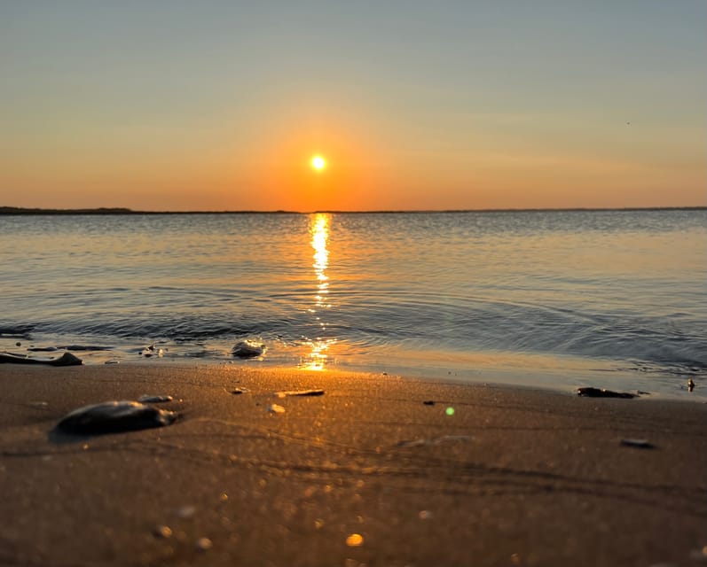 Charleston: Morris Island Dolphin Cruise with Beachcombing - Who Will Enjoy This Best?