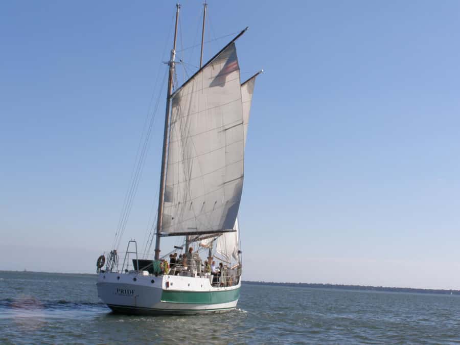Charleston: Schooner Sailing Harbor Tour & Dolphin Watch - Pulling away from the dock and raising the sails