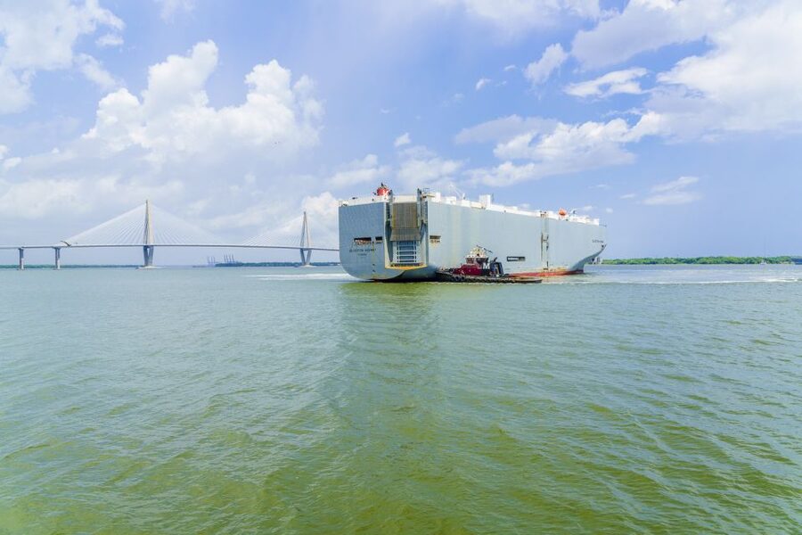 Charleston: Sightseeing Harbor Tour & Dolphin Watch - Castle Pinckney and the harbor’s smaller stories
