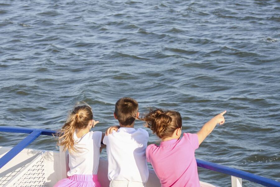 Charleston: Sightseeing Harbor Tour & Dolphin Watch - The Ravenel Bridge and modern Charleston